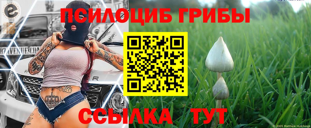Псилоцибиновые грибы Magic Shrooms Павлово